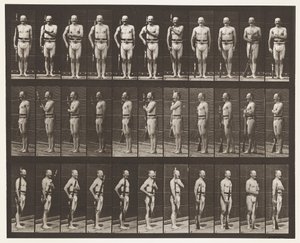 Skylt 354. Bärarmar, paradvila och ledarmar av Eadweard Muybridge