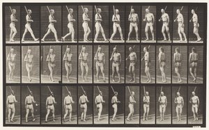 Tallrik 355. På vakt, går och vänder sig om av Eadweard Muybridge