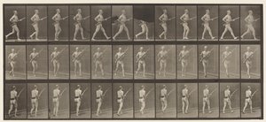 Plåt 359. Laddbajonett, 1872-1885 av Eadweard Muybridge