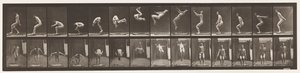 Plåt 362. Ryggvolta av Eadweard Muybridge