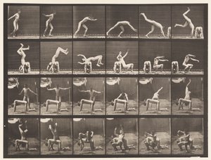 Tavla 364. Handfjäder över mannens rygg av Eadweard Muybridge