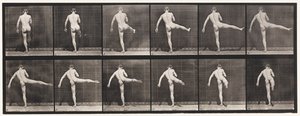Tallrik 369. Första balettaktionen av Eadweard Muybridge