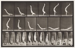 Plåt 372. Akrobat, horisontellt tryck upp av Eadweard Muybridge