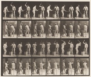 Skylt 377. Smed, två modeller, hamra på Advil, 1872-1885 av Eadweard Muybridge