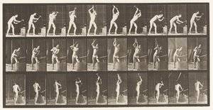 Tavla 378. Smed, hamra på städet, två händer av Eadweard Muybridge