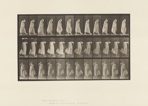 Skylt 37. Gå, klänning med vänster hand, höger hand vid ansiktet, 1872-1885 av Eadweard Muybridge