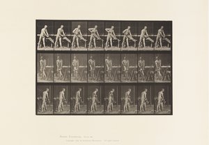 Plåt 380. Snickare, Sågning, 1872-1885 av Eadweard Muybridge