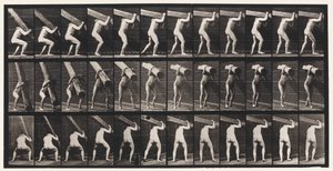 Plåt 383. Lyfta en stock på axeln av Eadweard Muybridge