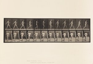 Tavla 389. Bonde, spridningsfrö, 1872-1885 av Eadweard Muybridge