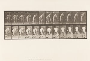 Tallrik 390. Bonde, Slåtter Gräs av Eadweard Muybridge