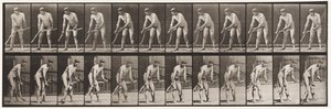 Tallrik 391. Bonde, Slåtter Gräs av Eadweard Muybridge