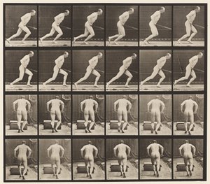 Plåt 393. Pushing a Garden Roller, 1872-1885 av Eadweard Muybridge