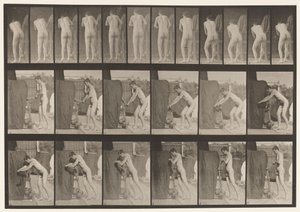 Plåt 394. Vridning av ett vev av Eadweard Muybridge
