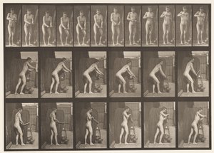 Plåt 395. Vridning av ett vev av Eadweard Muybridge