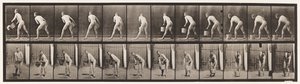 Plåt 398. Lyfta en hink vatten till tom, 1872-1885 av Eadweard Muybridge