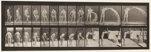Plåt 399. Tömningshink med vatten, 1872-1885 av Eadweard Muybridge