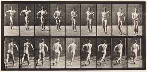 Plåt 3. Gå av Eadweard Muybridge
