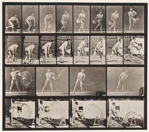 Tallrik 400. Tömningshink med vatten, 1872-1885 av Eadweard Muybridge