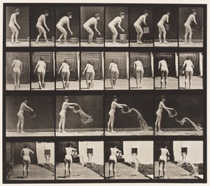 Tallrik 401. Tömningshink med vatten av Eadweard Muybridge