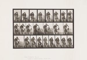 Tallrik 403. Tömningshink med vatten av Eadweard Muybridge