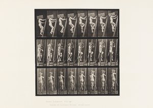 Plåt 405. Bärande hand av tegelstenar uppför en stege, 1872-1885 av Eadweard Muybridge