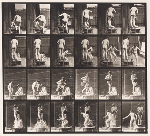 Tallrik 407. Två modeller, 8 hällhink med vatten över 1 av Eadweard Muybridge