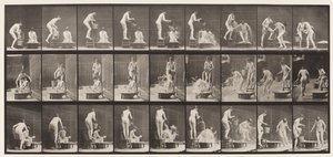 Skylt 408. Två modeller av Eadweard Muybridge