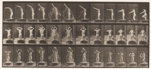 Tallrik 409. Häll vattenbassäng över huvudet av Eadweard Muybridge