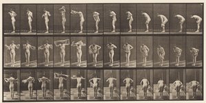 Tallrik 414. Torkkropp med handduk av Eadweard Muybridge