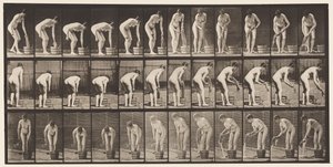 Tallrik 433. Vridande kläder av Eadweard Muybridge