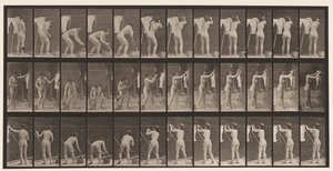 Plåt 434. Hängande kläder på rad, 1872-1885 av Eadweard Muybridge