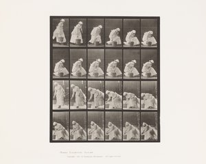 Plåt 438. Att sätta ner hinken och förbereda för att skrubba, 1885 av Eadweard Muybridge