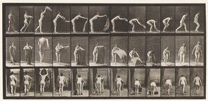 Tallrik 439. Sprider en matta på golvet, 1872-1885 av Eadweard Muybridge