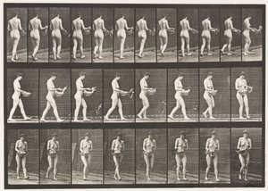 Tavla 43. Gå, stänk vatten från bassängen, vända sig om av Eadweard Muybridge