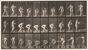 Tallrik 440. Böjande och sköljande tumlare av Eadweard Muybridge