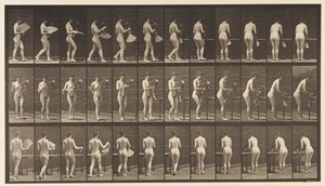 Tallrik 441. Bär vas och ställ den på bordet, 1872-1885 av Eadweard Muybridge