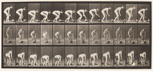 Tavla 442. Luta sig och rulla en sten på marken av Eadweard Muybridge