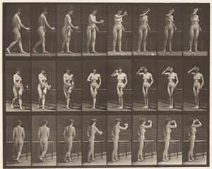 Tallrik 443. Dricker ur en bägare stående av Eadweard Muybridge