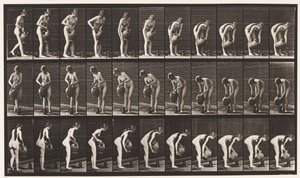 Tallrik 446. Påfyllning av kanna på marken från vattenburk av Eadweard Muybridge