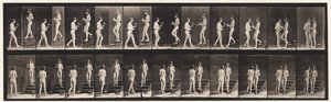 Skylt 448. Två modeller av Eadweard Muybridge