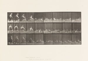 Tavla 455. Kastar själv på höhög av Eadweard Muybridge