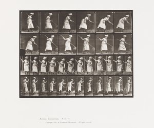 Plåt 456. Rankingen är 165 av Eadweard Muybridge