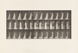 Tallrik 462. Hälla dräkt på marken, dricka ur bägare, 1885 av Eadweard Muybridge