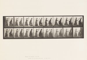 Skylt 464. Två modeller, 16 Jagar 4 med en kvast, 1885 av Eadweard Muybridge