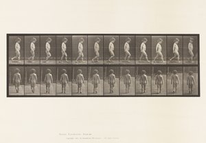 Plåt 467. Barn, gående, 1885 av Eadweard Muybridge