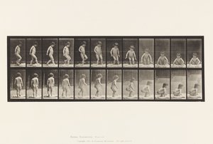 Tallrik 476.Barn, sittande på marken av Eadweard Muybridge