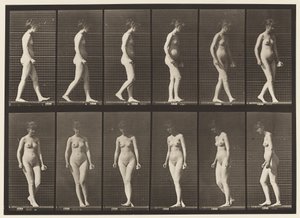 Plåt 47. Gå och vända sig om av Eadweard Muybridge