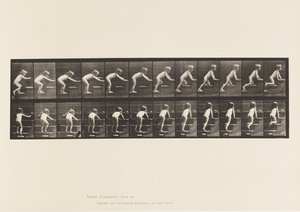 Tallrik 480. Barn, går och kryper på övervåningen av Eadweard Muybridge