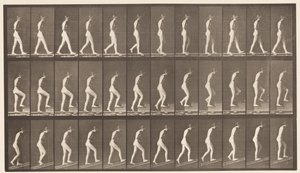 Tavla 482. A, Walking; B, Uppåtgående trappor; C, stigande lutning, 1872-1885 av Eadweard Muybridge