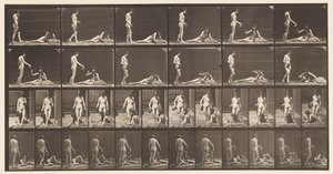 Tallrik 485. Två modeller; A, 10 Stå och fyller en bägare;, 1872-1885 av Eadweard Muybridge